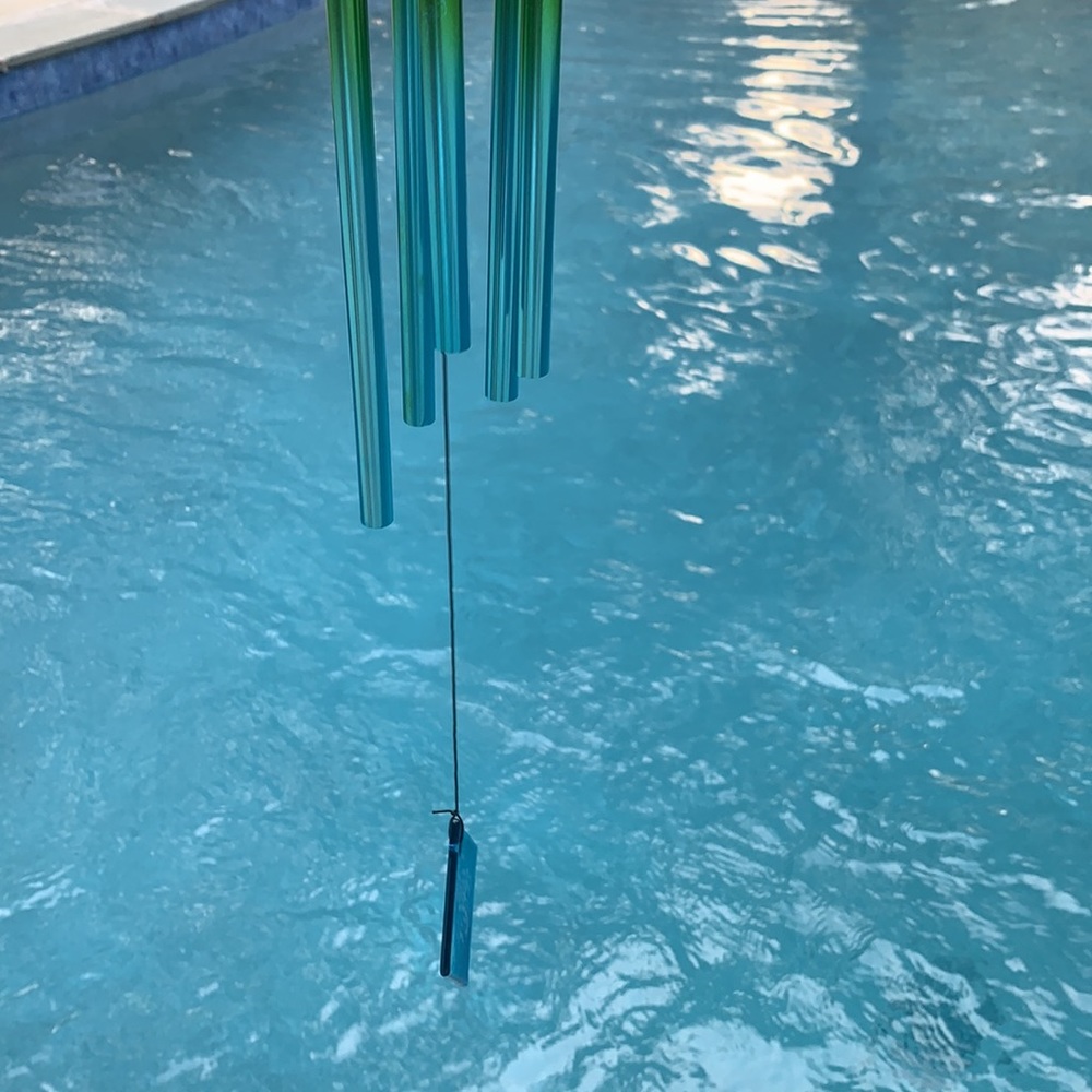 New Iguana Wind Chime - Picture 6 of 12